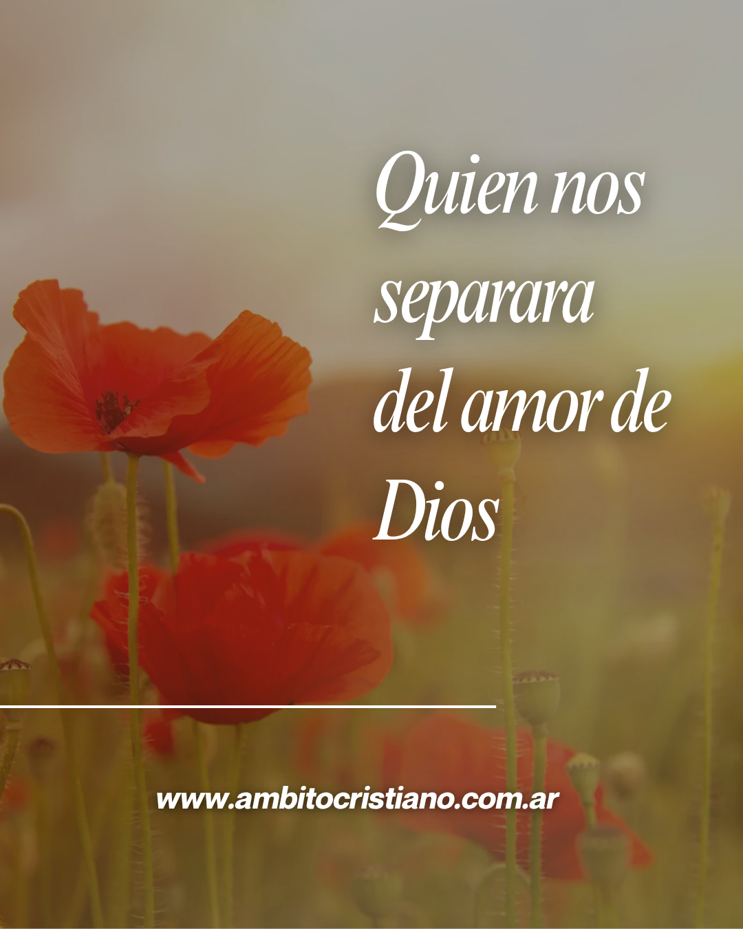 ¡Nada nos separará de su amor!